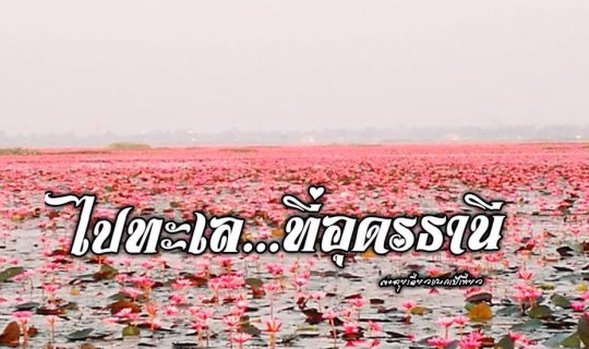 cover Go to the sea... in Udon Thani.