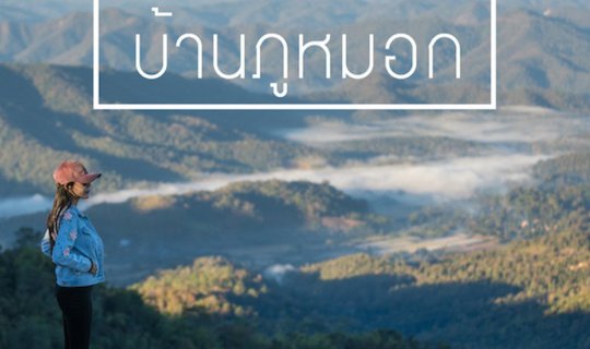 cover Relax and sleep under the stars at night, and watch the mist in the morning at Ban Phu Mork, Chiang Mai. 
By Somewhere Someone