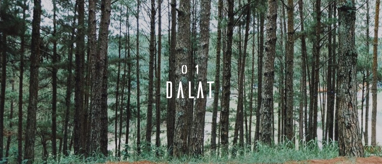 cover TRIP'LE x VIETNAM : the adventure and slow life in Southern Vietnam: DALAT
