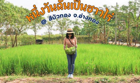 cover One day I was a farmer at the Sib Buathong Handicrafts Center & Model Farm, following the Royal Initiative.