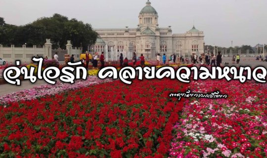 cover Warmth of love, dispelling the cold.