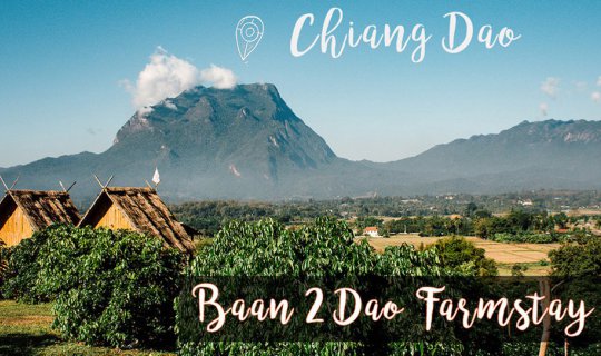cover Stargazing and cozy nights at Baan 2 Dao Farmstay, Chiang Dao.