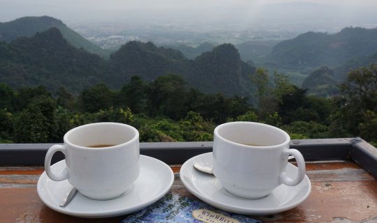 cover @Chiang Rai #Doi Pha Hom (Still good for the heart) Phu Pha Hee and the pink tiger along the way