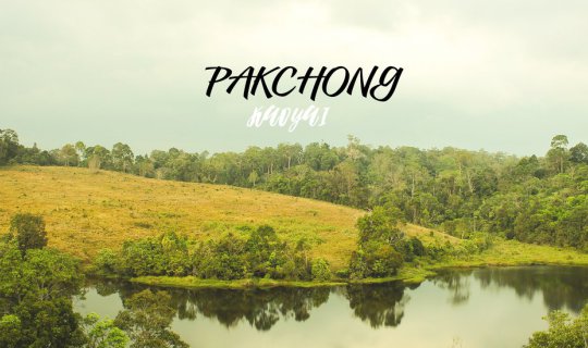 cover The translation of "ทริป เขาใหญ่" to English is "Khao Yai trip". 
"Khao Yai" is a national park in Thailand, known for its diverse wildlife and scenic beauty. 
Therefore, "ทริป เขาใหญ่" can be understood as a trip to Khao Yai National Park.