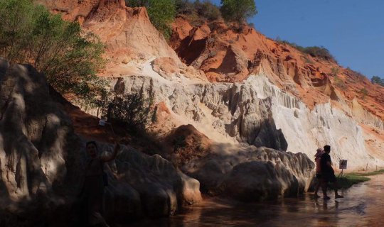 cover How has asking and answering questions in Vietnamese been beneficial?