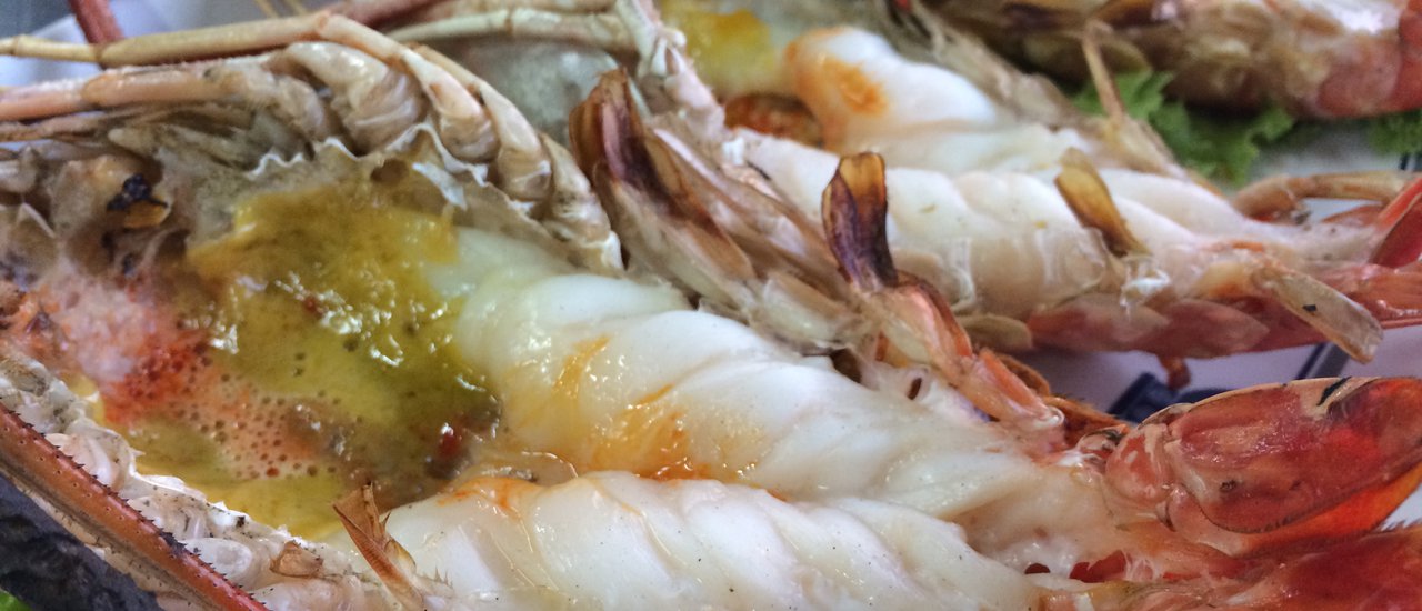 cover Feast on "Grilled Shrimp": Two Provinces Offer Varied Prices