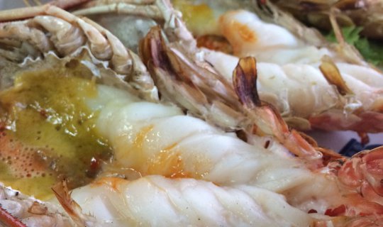 Cover Feast on "Grilled Shrimp": Two Provinces Offer Varied Prices...