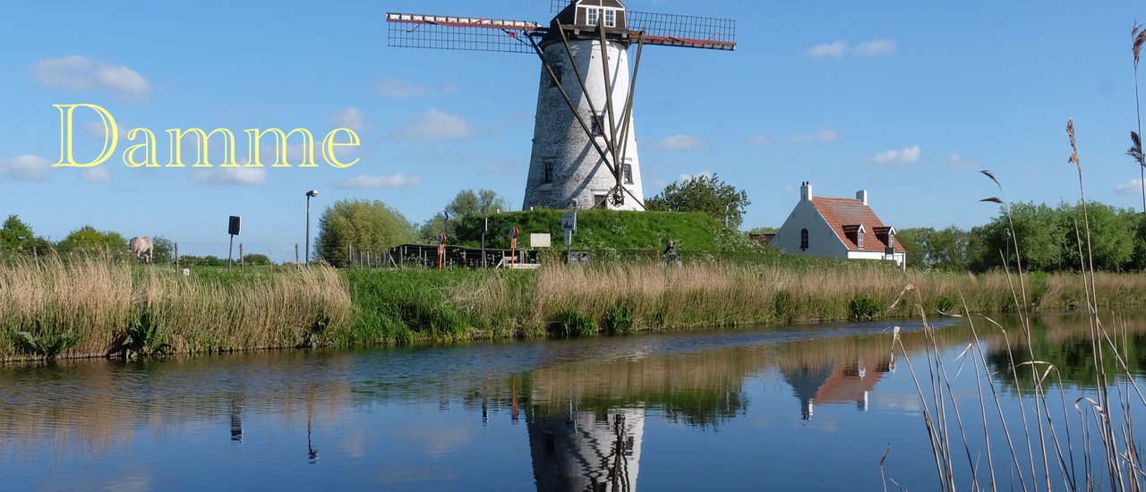 cover (Day 4) 7 Days of Driving at My Own Pace in Belgium