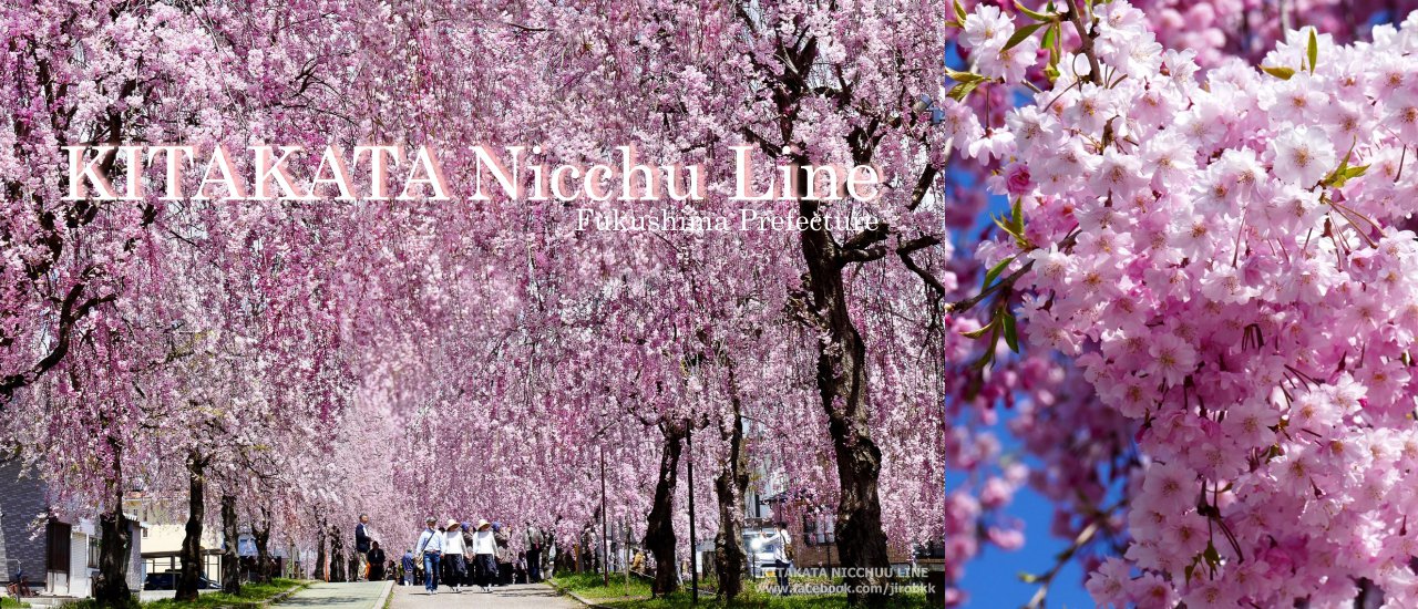 cover Kitakata Nicchu Line: The Exquisite Beauty of Chidahara Sakura

The Kitakata Nicchu Line offers a breathtaking view of the Chidahara Sakura, renowned for its exceptional beauty.