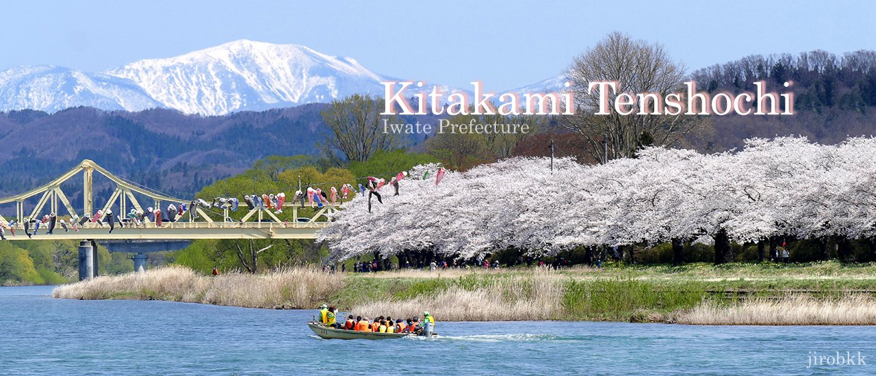 cover Cherry Blossoms at Kitakami Tenshochi Park