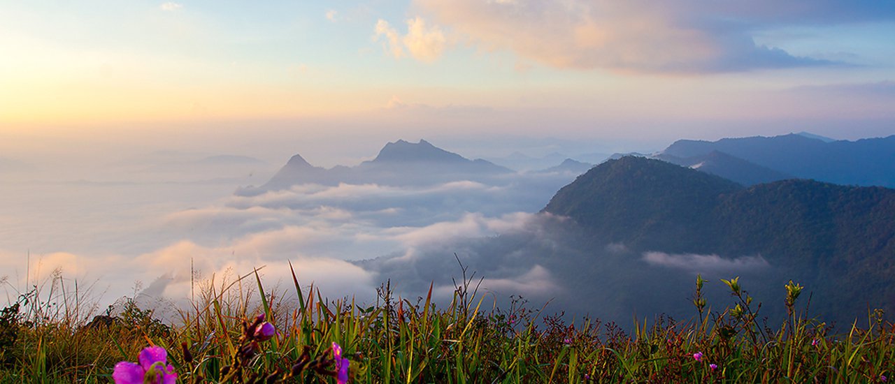 cover Wiang Kaen District, "The mysterious land of mounts: Doi Pha Tang, Phu Chee Fah, Phu Chee Dao and sightseeing the pink route of Chiangrai".