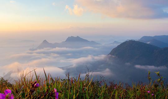 cover Wiang Kaen District, "The mysterious land of mounts: Doi Pha Tang, Phu Chee Fah, Phu Chee Dao and sightseeing the pink route of Chiangrai".