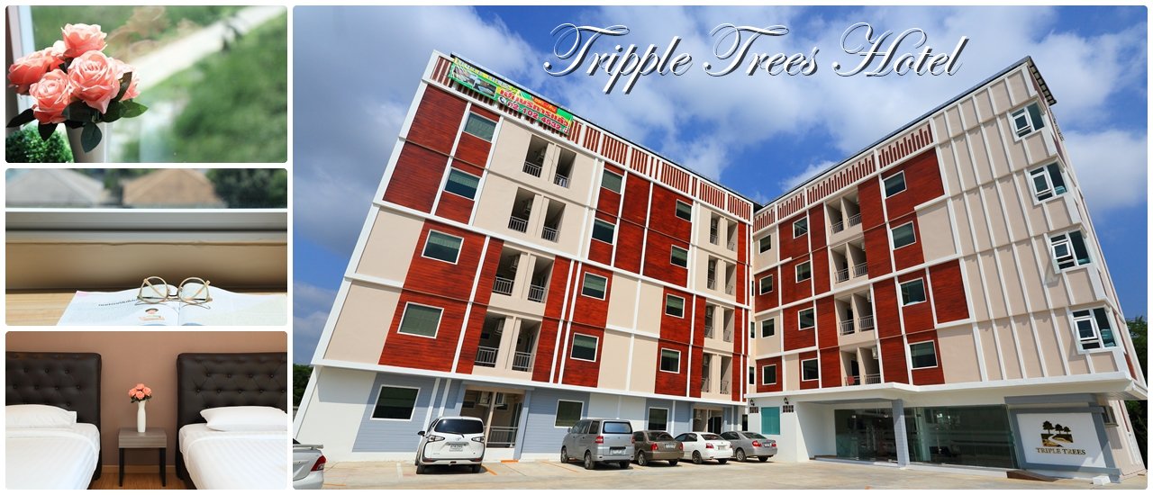 cover Triple Trees Hotel: Relaxing Stay, Comfortable Sleep, Close to Bangkok, Affordable Price