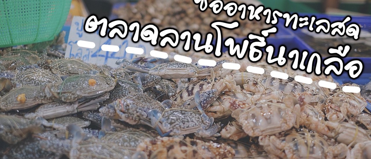 cover Are you looking for fresh seafood near Pattaya? Come visit the "Larn Pho Na Kluea Market".