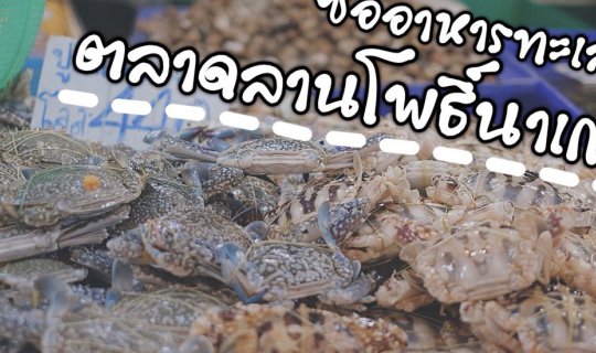 cover Are you looking for fresh seafood near Pattaya? Come visit the "Larn Pho Na Kluea Market".