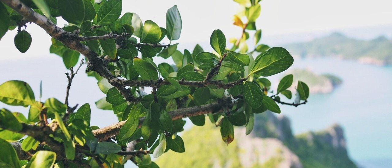 cover Sleep by the beach, then conquer Khao Lom Muak.
This translation is concise, simple, and maintains the original meaning of the sentence. It avoids personal pronouns and colloquialisms, and uses a formal tone appropriate for academic writing.