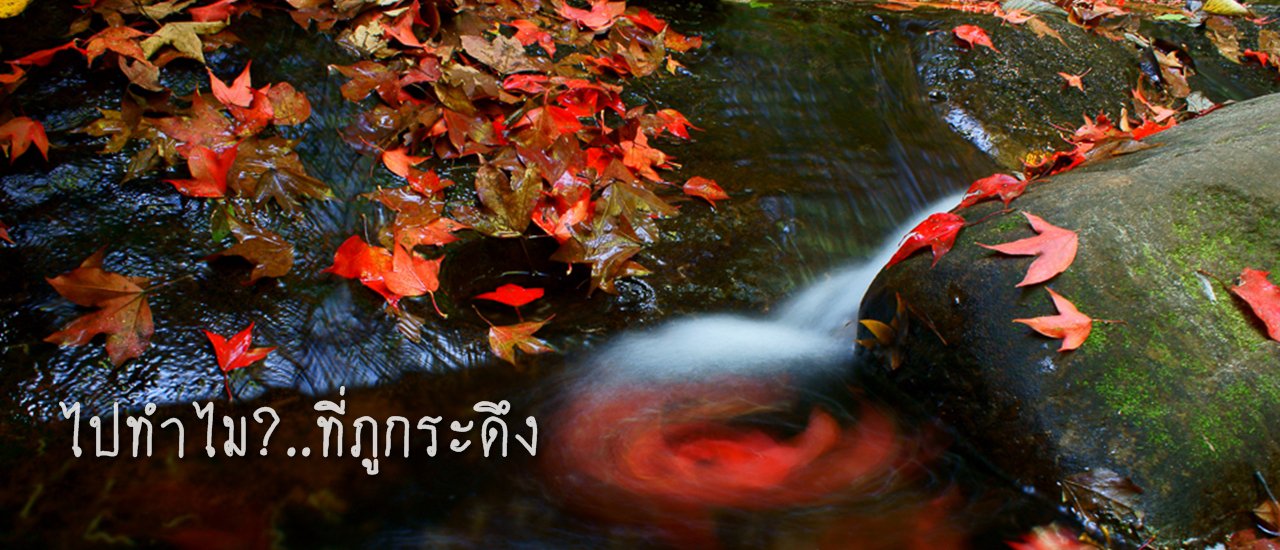 cover ไปทำไม??? ที่ภูกระดึง