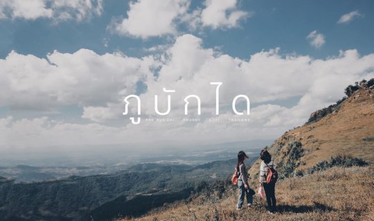 cover Ascend the stairs to touch the sky at "Phu Bak Dai".