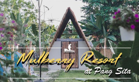 Cover Mulberry Resort Pang-Sita 
This translates to:
Mulberry Resort Pan...
