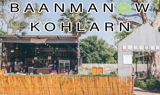 cover Backpack and Get Zesty at the "Lemon House" 🍋 🎒