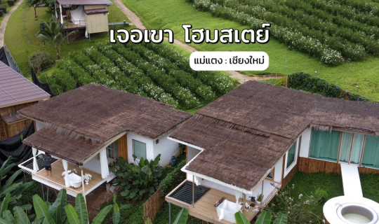 cover ทิ้งตัวกับธรรมชาติ ที่ “เจอเขา โฮมสเตย์” แม่แตง … เชียงใหม่