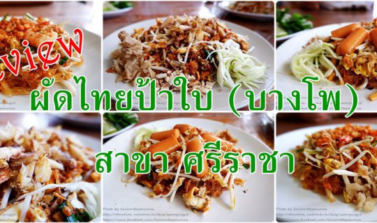 cover Review of Pad Thai Pa Bai (Bang Pho) Sriracha Branch
Original Thai:
Review ผัดไทยป้าใบ (บางโพ)  สาขา ศรีราชา
English 
This review is for the Pad Thai Pa Bai (Bang Pho) restaurant, specifically the Sriracha branch.