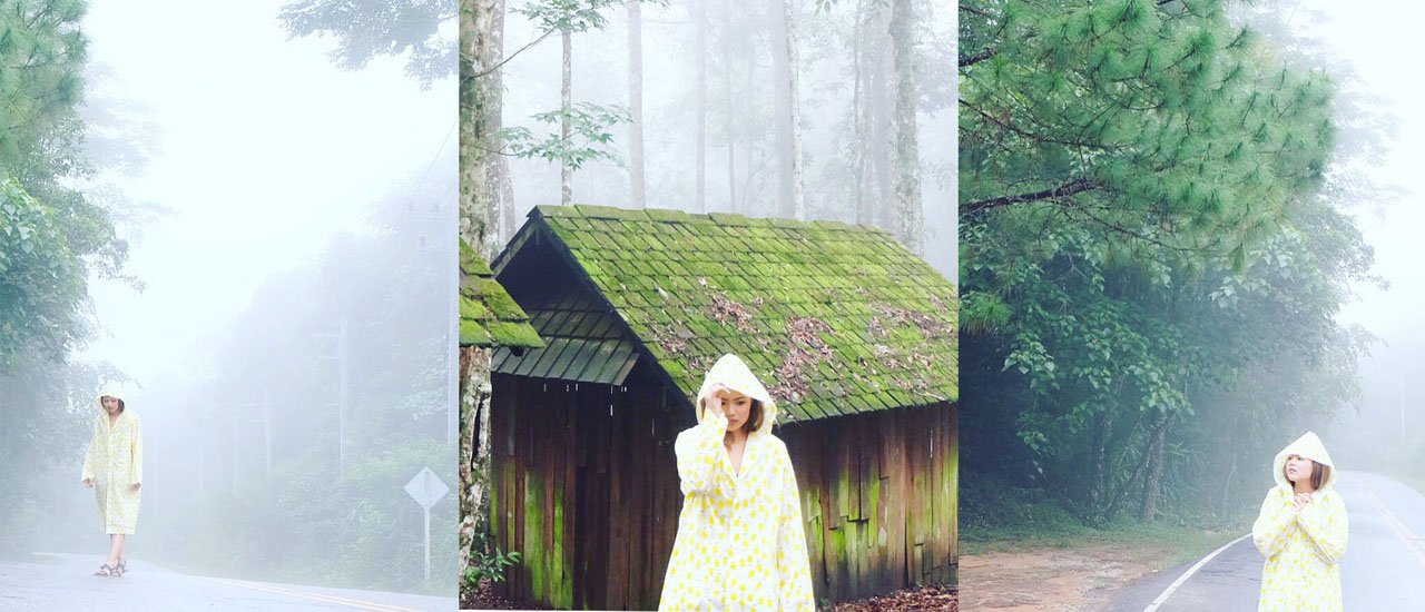 cover 7 สถานที่สโลว์ไลฟ์ เขาค้อ - ภูทับเบิก