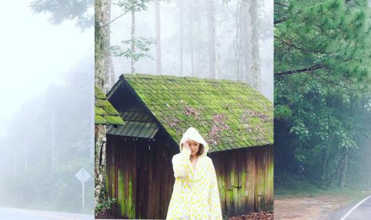 cover 7 สถานที่สโลว์ไลฟ์ เขาค้อ - ภูทับเบิก