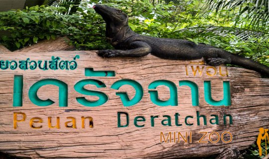 cover Visiting the Zoo: Animal Friends