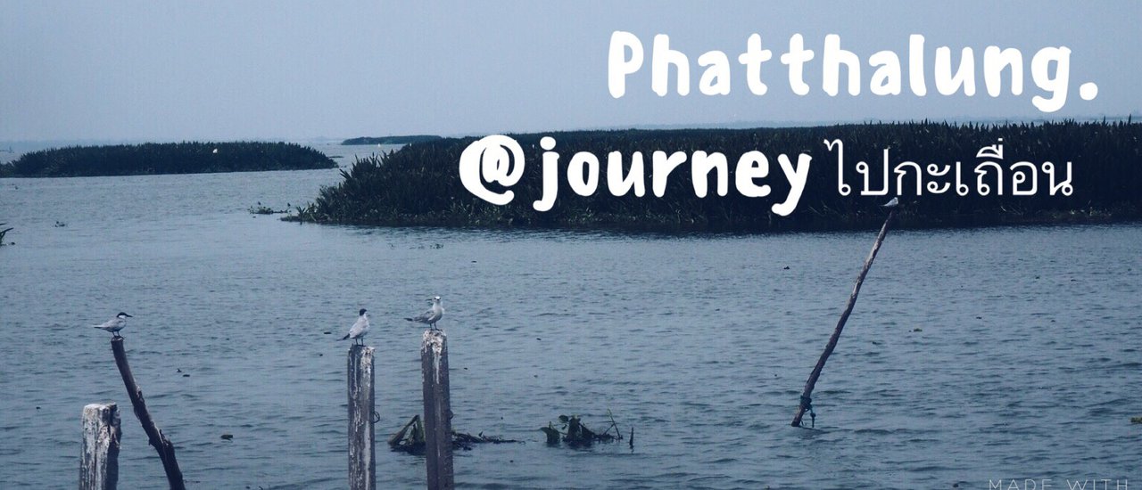 cover @Journeyไปกะเถื่อน Take a relaxed train ride to Phatthalung.