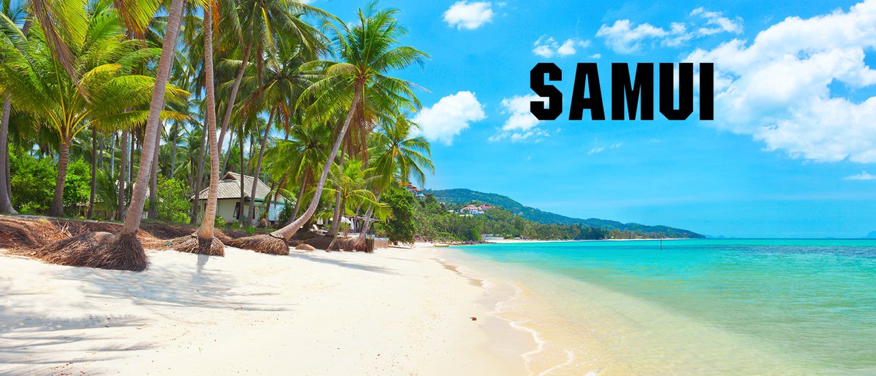 cover Samui, Samui, let's go to Samui!
