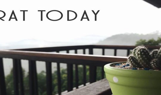cover Immerse yourself in the breathtaking sea of mist and marvel at the floating pagoda in Surat Thani.