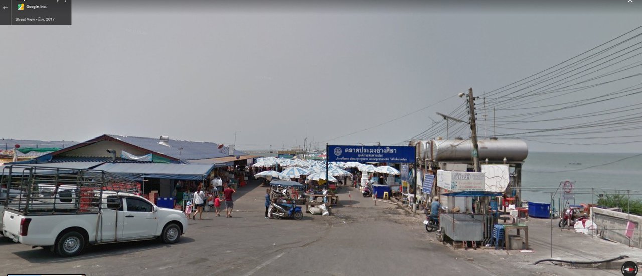 cover Saltwater mosquito larvae