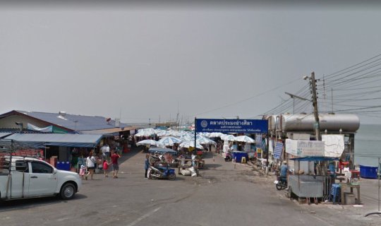 Cover Saltwater mosquito larvae...