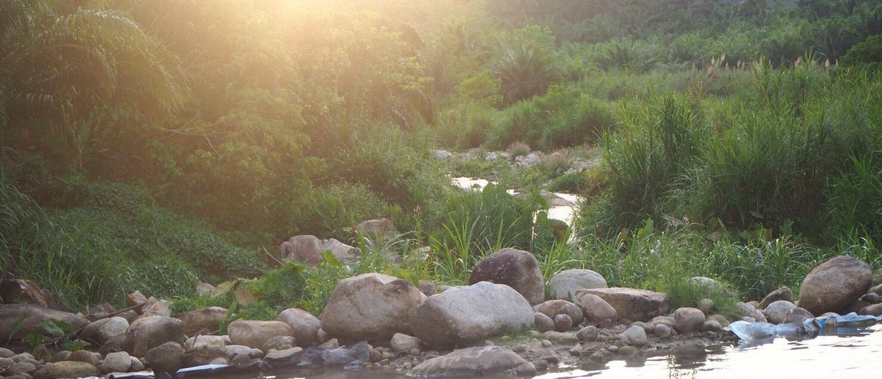 cover Who's not superior, but the waterfall is superior (canal) @Surat Thani