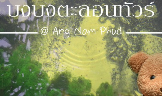 cover Bong Bong Talontour