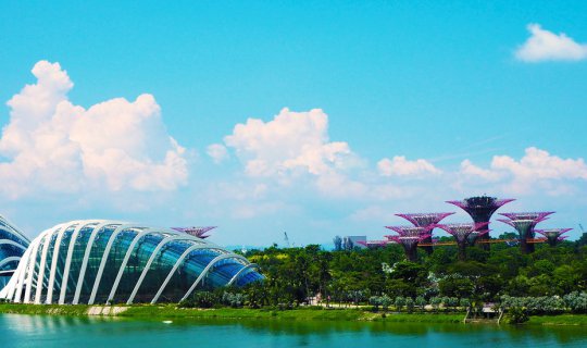 Cover # Kale Takes Friends on a Trip for Their Birthday: Happy in Singapor...