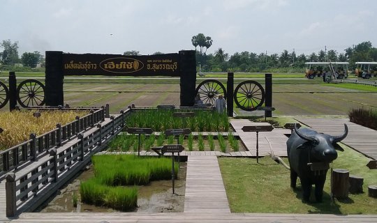 Cover # Kale FAM Trip: Experience Thai Traditions in Ban Laem Community, S...