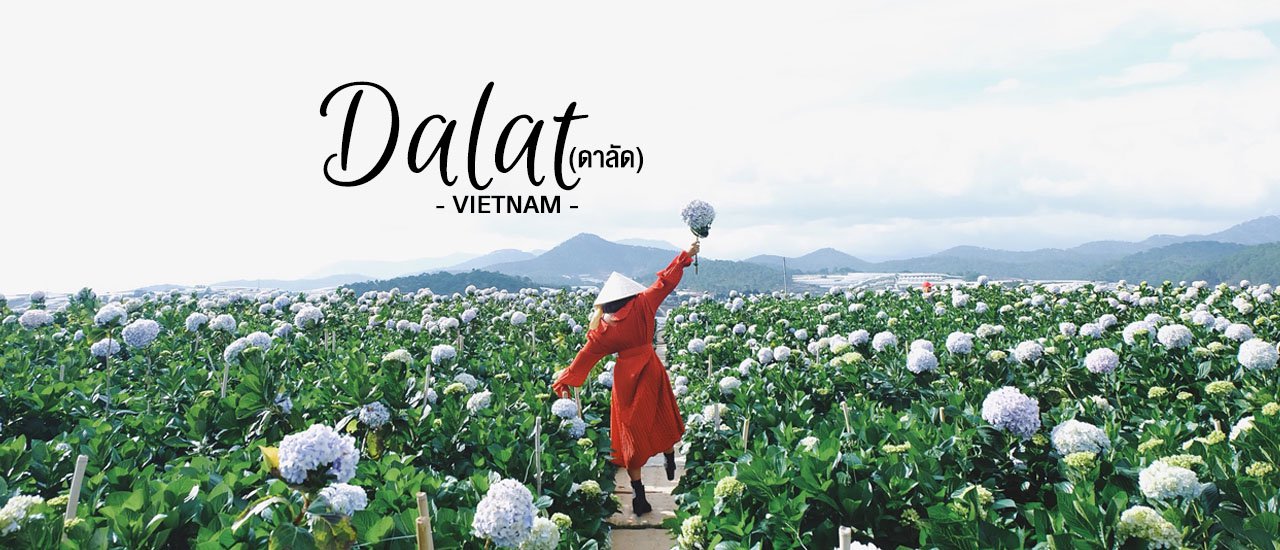 cover Visiting Dalat for 4 days for only 4,000 baht.