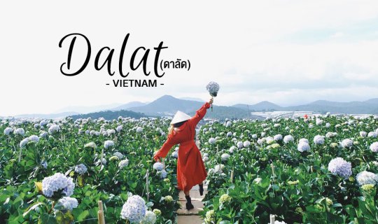 cover Visiting Dalat for 4 days for only 4,000 baht.