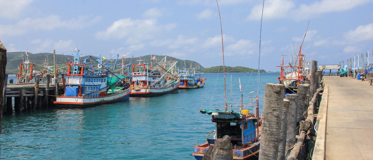 cover The underwater world of Samed Sar.