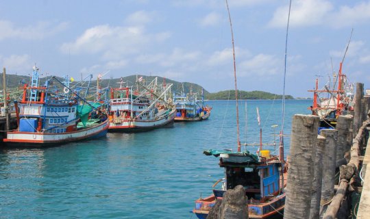 Cover The underwater world of Samed Sar....
