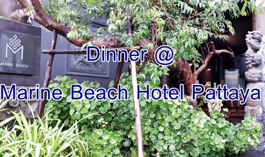cover Pattaya Trip Part 3: Luxurious Dinner at Marine Beach Hotel Pattaya