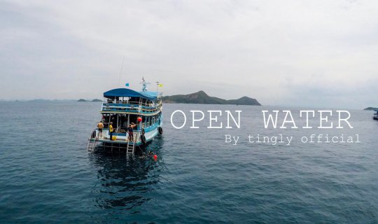 Cover Fear should not be an obstacle to your progress....