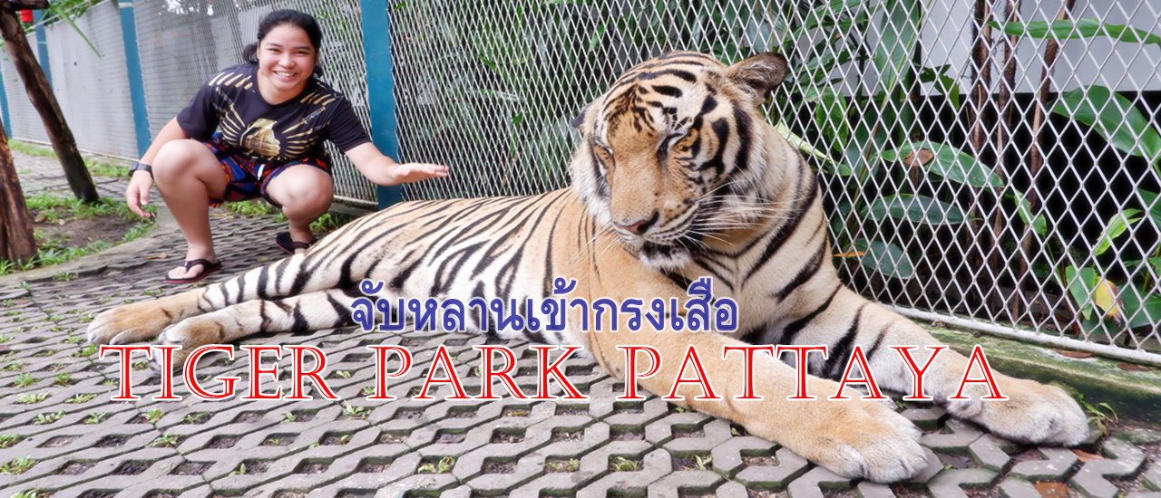 cover Pattaya Trip Part 6 (Final): Taking My Grandson to the Tiger Park 🐯