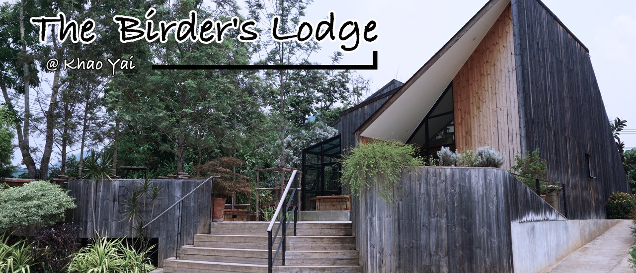 cover Check in at The Birder's Lodge, a trendy coffee shop.
