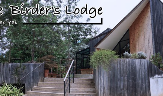 Cover Check in at The Birder's Lodge, a trendy coffee shop....