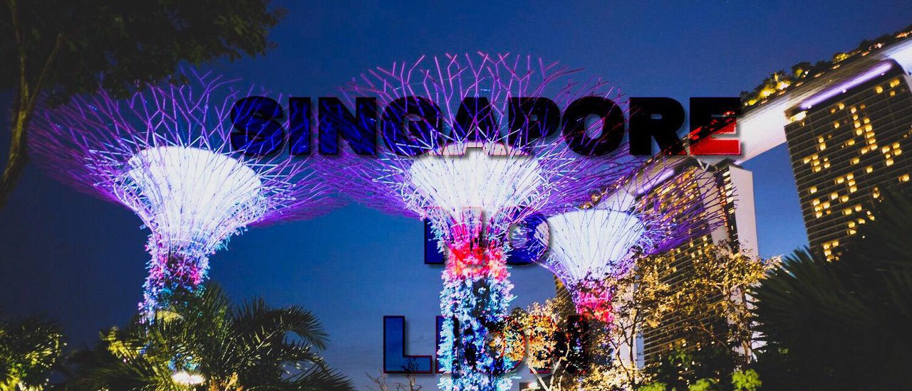 cover SINGAPORE NO LION