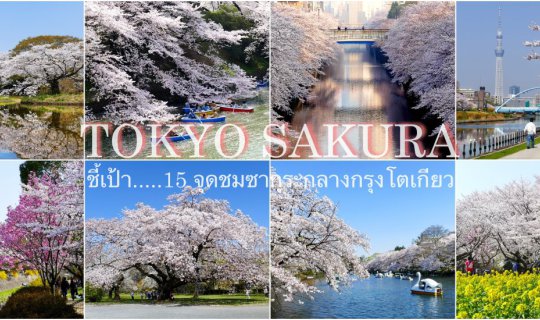 Cover 15 Cherry Blossom Viewing Spots in Central Tokyo...