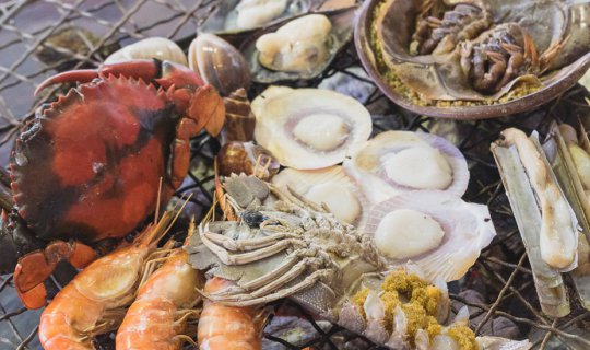 cover Review: Na Kluea Talay Phao Restaurant, Pattaya - Seafood Buffet Extravaganza for 399 Baht
This review focuses on Na Kluea Talay Phao Restaurant in Pattaya, highlighting its seafood buffet priced at 399 Baht.